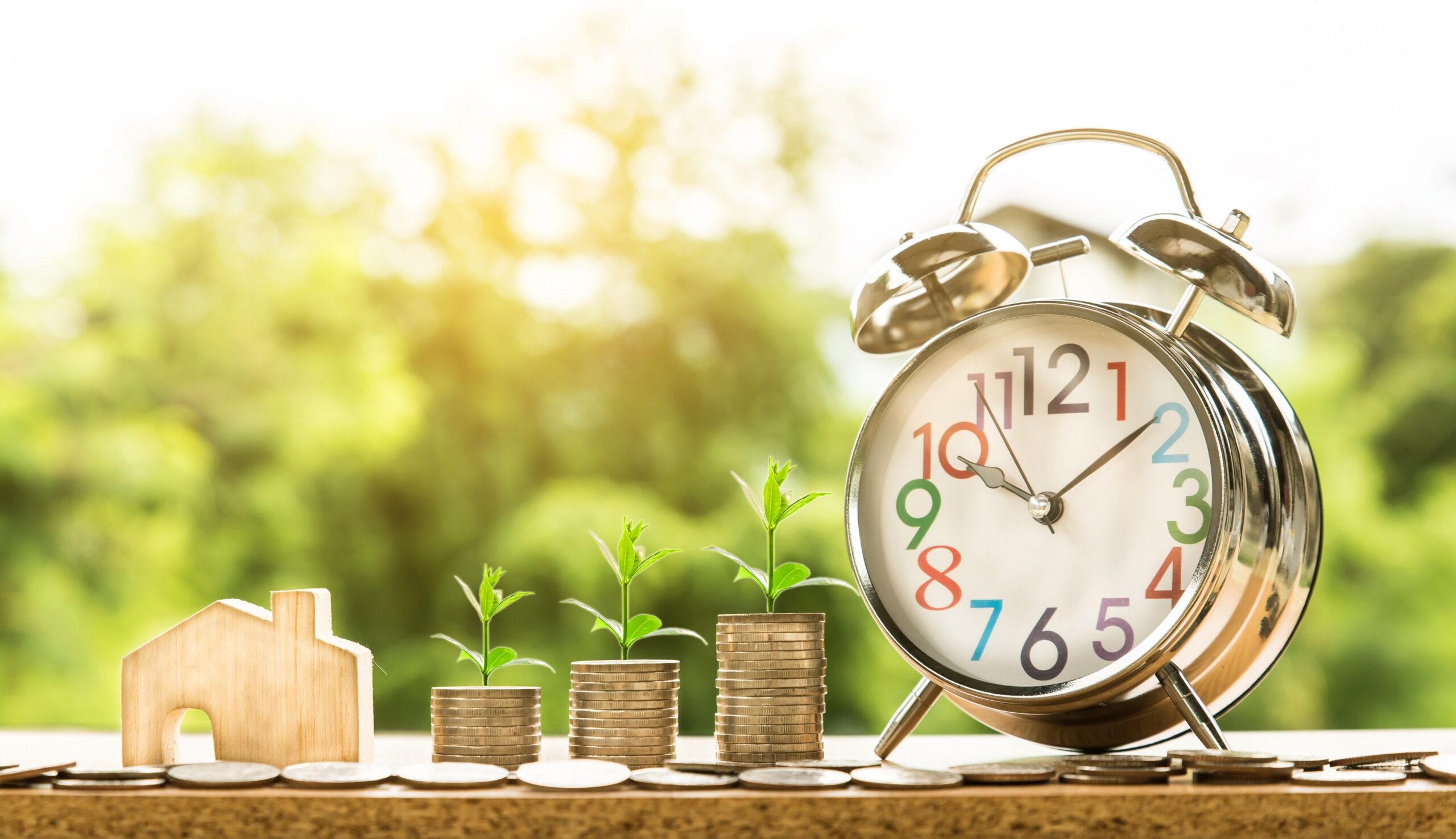 When Is the Right Time to Invest in a Custom Exhibit Purchase in Chicago